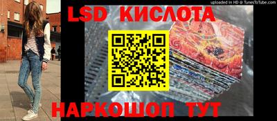 спиды Камышлов