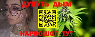 спиды Камышлов